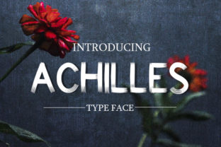 Achilles: A Modern Sans Serif for Editorial Clarity