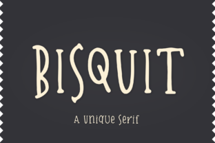 Bisquit: A Designer’s Honest Review of This Serif Typeface