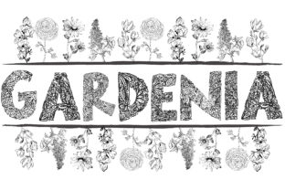 Gardenia LF: A Hand-Drawn Font for Natural Branding