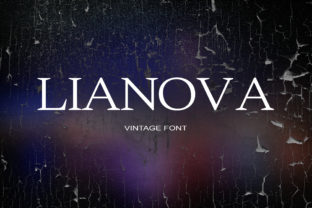 Lianova Typeface Review: Elevating Campaign Visuals With Sophisticated Serif Design