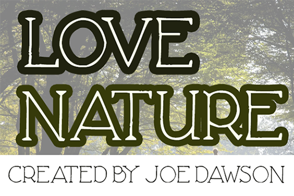 Love Nature: A Designer’s Review of This Serif Typeface