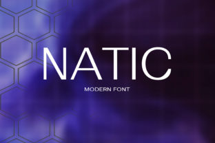 Natic: The Smart Sans Serif for Polished Small Business Branding