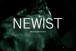 Newist: A Playful Sans Serif Font for Small Business Branding